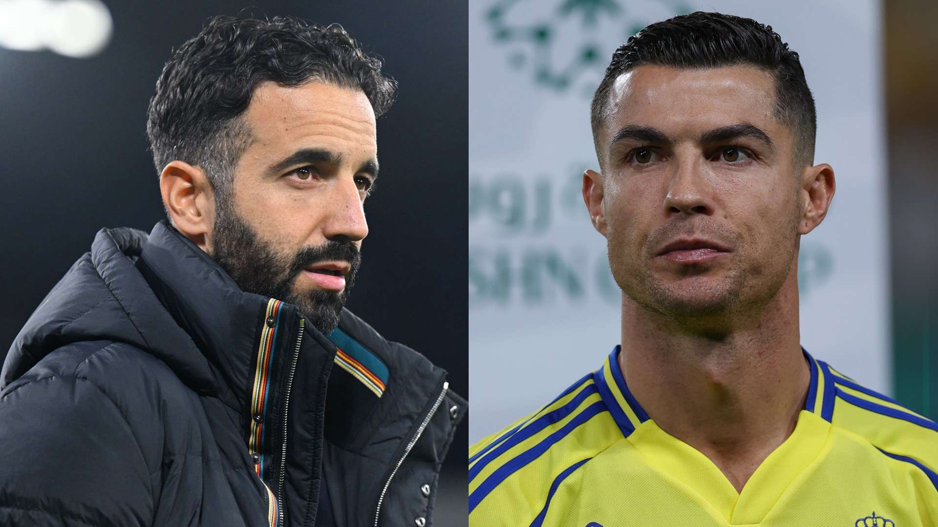 这样的环境 这样的环境